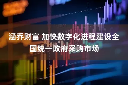 涵乔财富 加快数字化进程建设全国统一政府采购市场