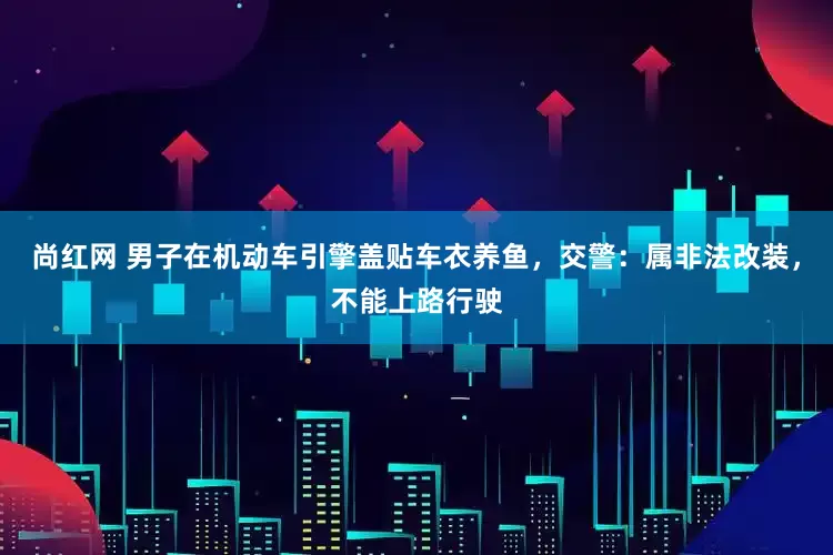 尚红网 男子在机动车引擎盖贴车衣养鱼，交警：属非法改装，不能上路行驶