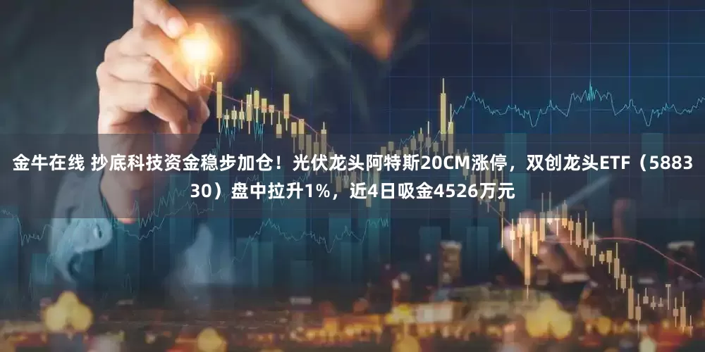 金牛在线 抄底科技资金稳步加仓！光伏龙头阿特斯20CM涨停，双创龙头ETF（588330）盘中拉升1%，近4日吸金4526万元